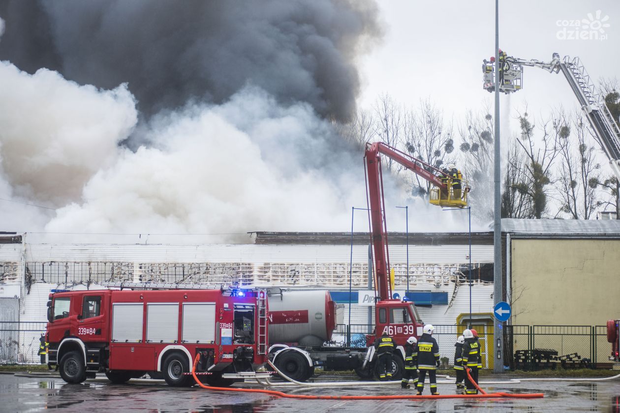 Pożar na ul. Wrocławskiej. Strażacy wciąż pracują