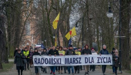 Ulicami Radomia przeszedł Marsz dla Życia