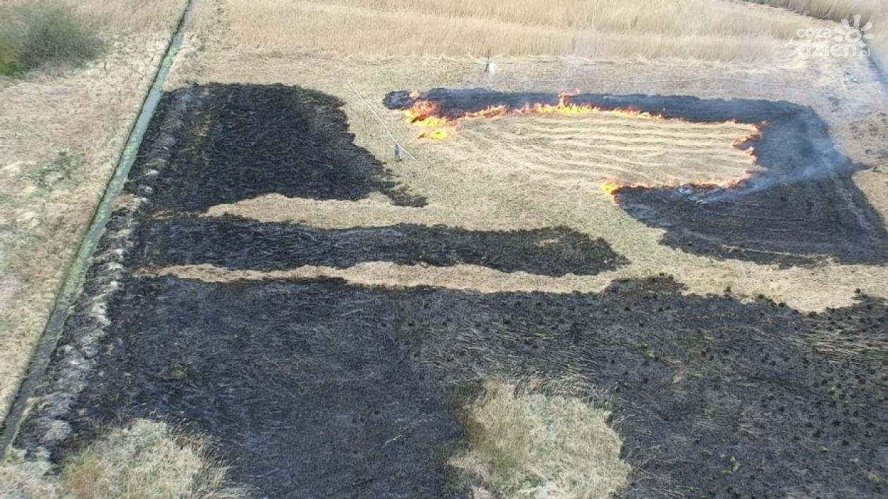 Wypalał trawy - nie spodziewał się drona