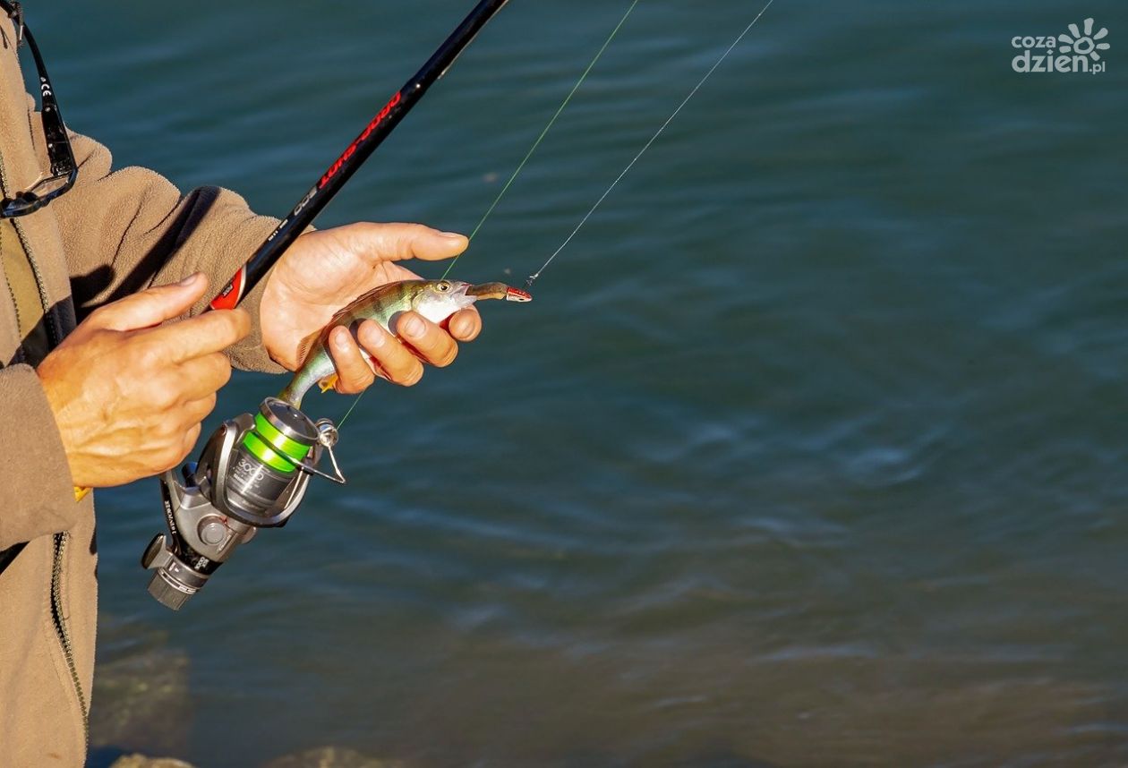 Trzy rzeczy, jakie musisz zrobić przed pierwszą wyprawą na ryby