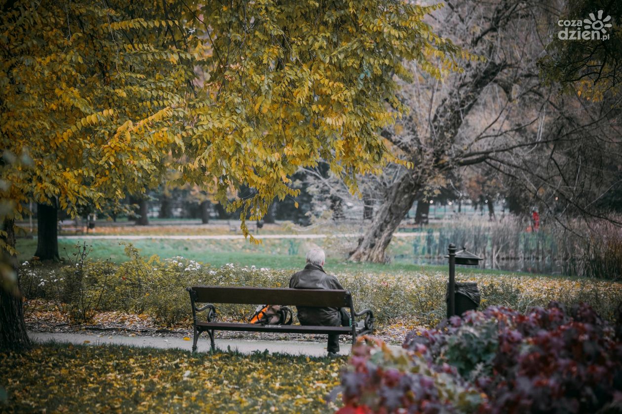Jesień w Starym Ogrodzie (zdjęcia)