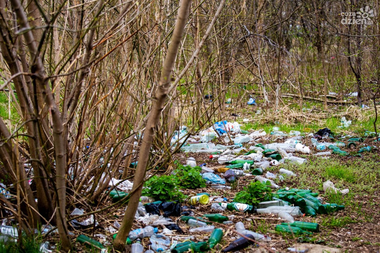 Śmieci na terenie Radomia. (zdjęcia)