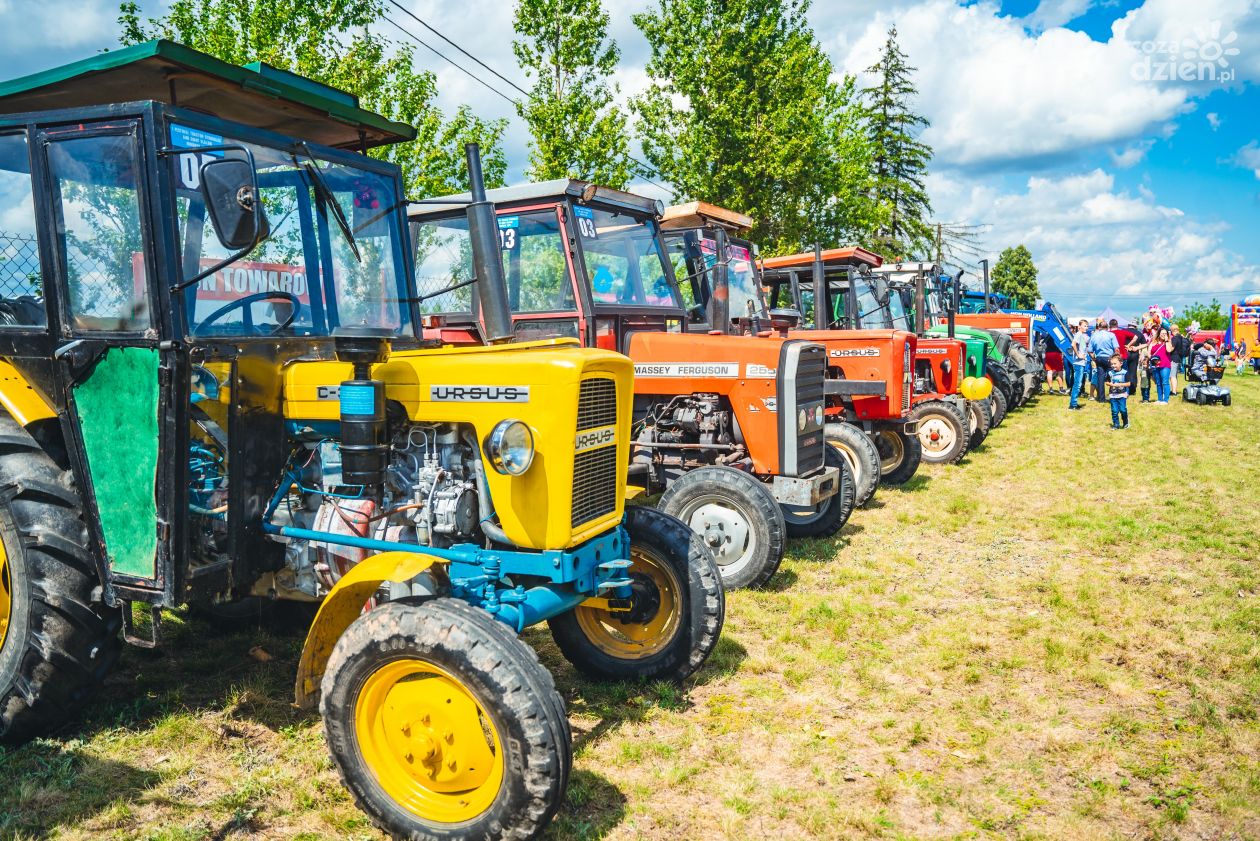 Festiwal Tractor Struggles w Mirówku. Wystąpili Piękni i Młodzi oraz Miły Pan