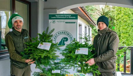 Stroisz od radomskich leśników do świątecznych stroików (zdjęcia)