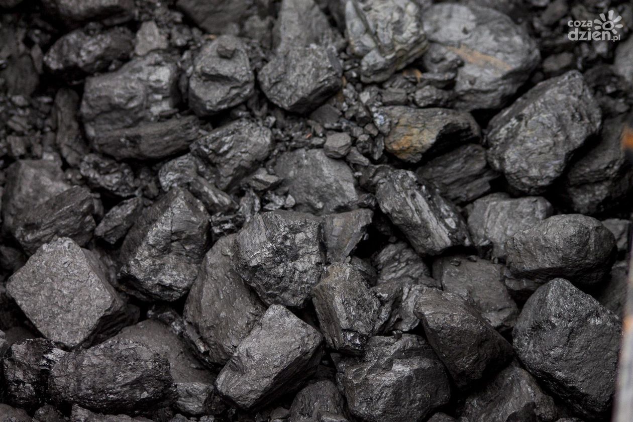 Dystrybucja węgla w Radomiu ruszy... wiosną przyszłego roku?