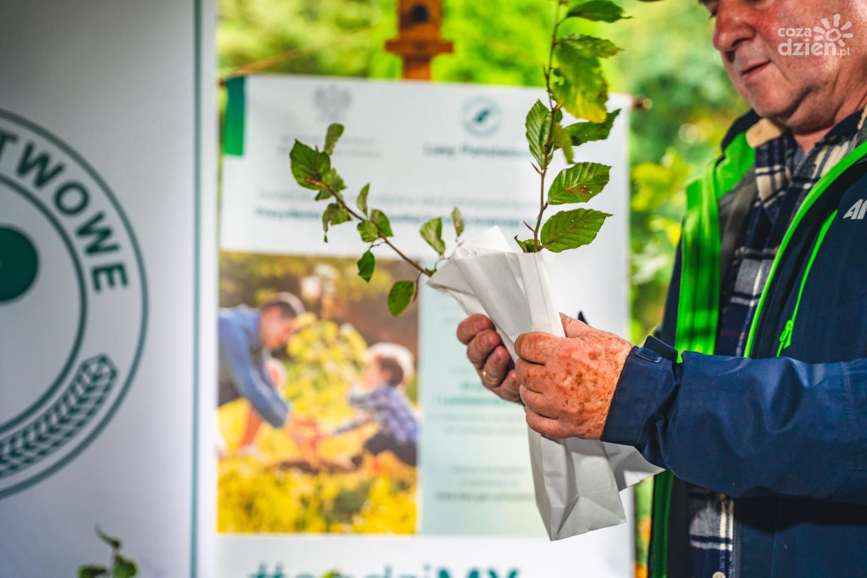 700 drzew posadzą w Radomiu