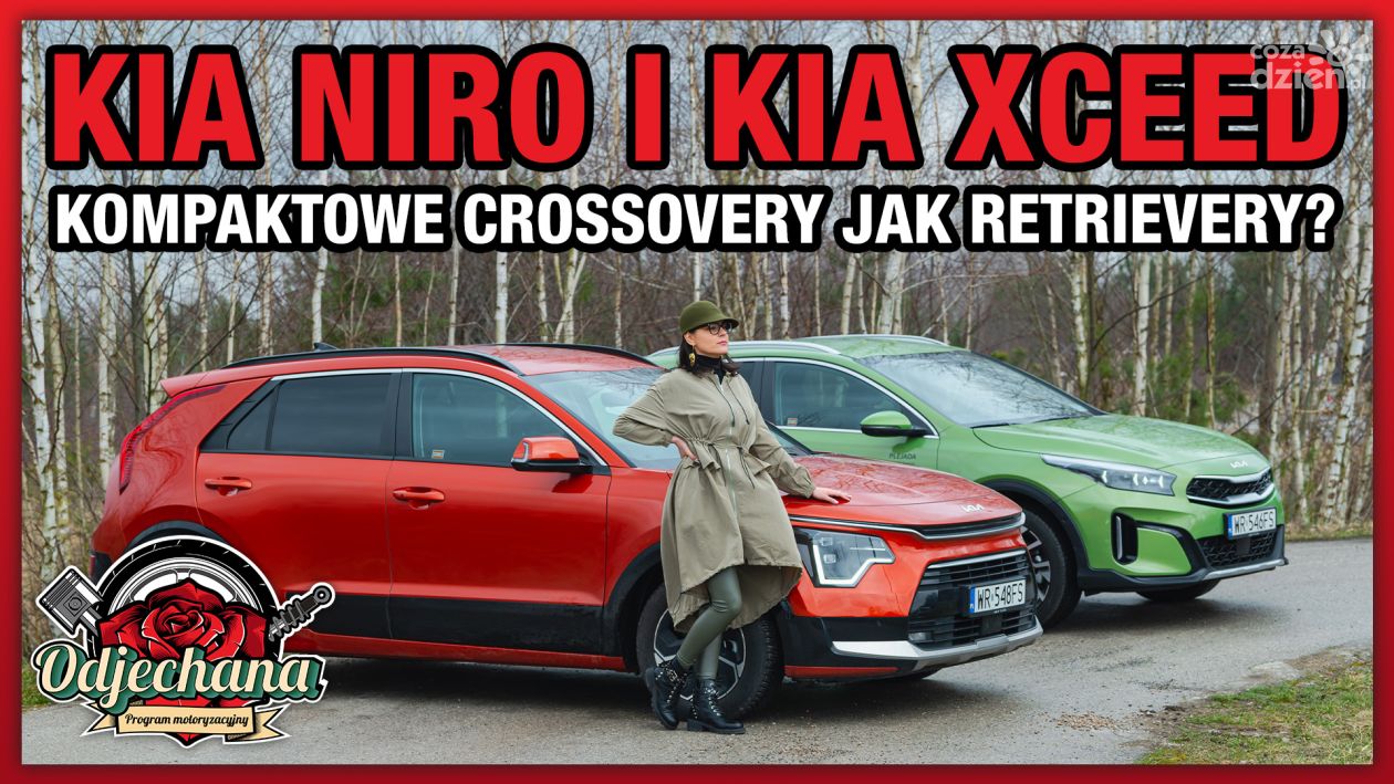 Kia XCeed i Kia Niro. Kompaktowe crossovery jak retrievery?