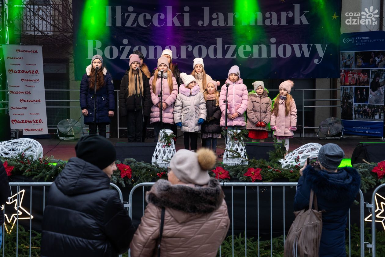 Iłżecki Jarmark Bożonarodzeniowy (zdjęcia)