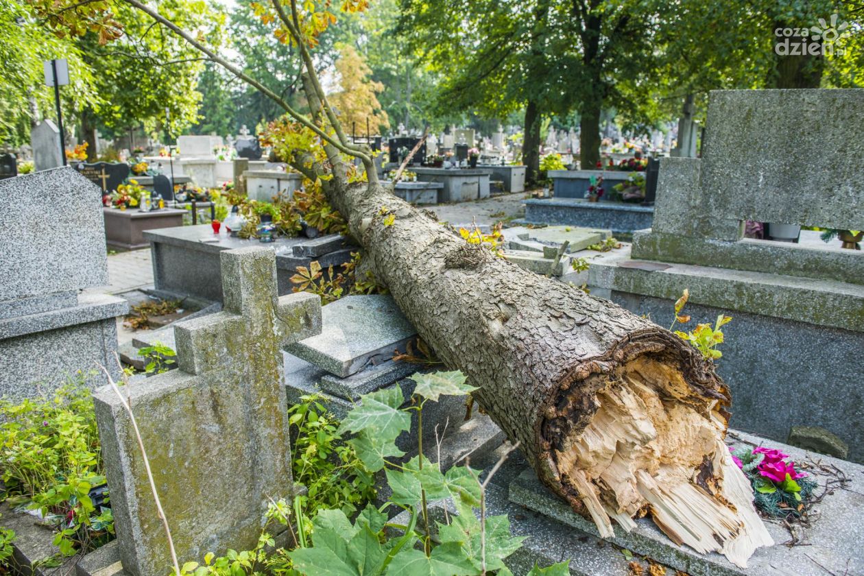 Skutki burzy na cmentarzu przy ul. Limanowskiego