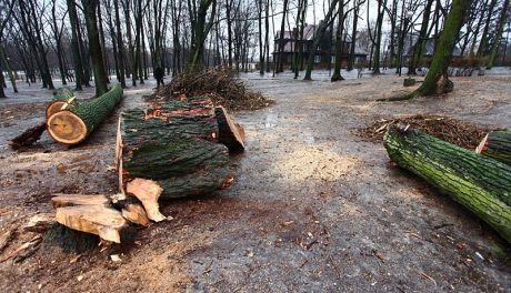 Mieszkańcy Radomia są oburzeni sposobem rewitalizacji Parku Leśniczówka
