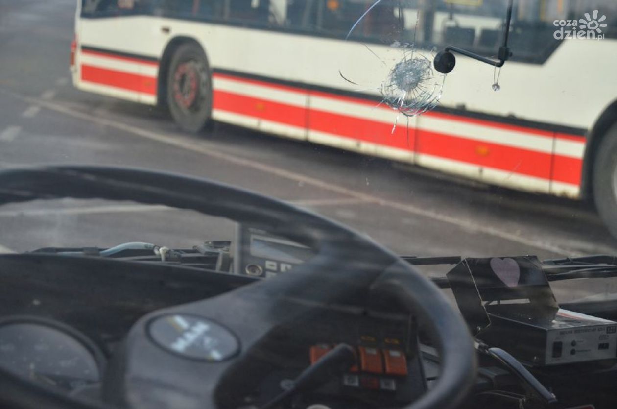 Plaga chuligańskich ataków na autobusy